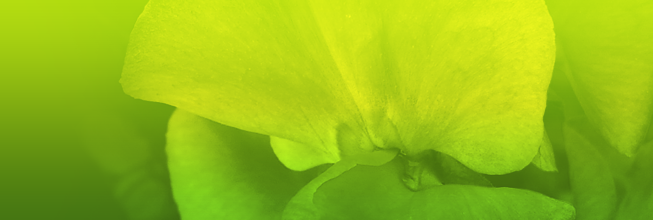 手机号压测网站